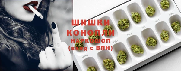 spice Козельск