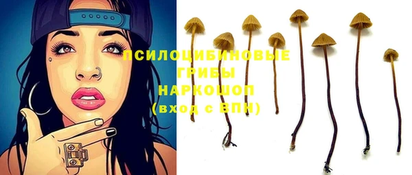 крисы Кинешма