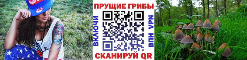 Купить закладки  Керчь  Галлюциногенные грибы мицелий 